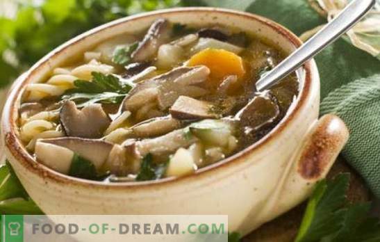 Svamp soppa med porcini svampar - den mest favorit! Recept av svamp soppa med porcini: med grädde, pasta, korn, bacon