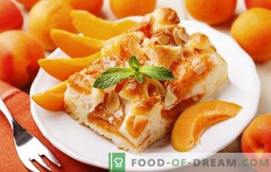 Kaka med aprikoser från Julia Vysotskaya är ett mästerverk! Recept berömda aprikospaj från Vysotsky och dess modifieringar