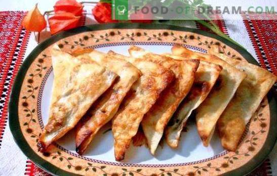 Chebureks de pita - perezoso, ¡pero delicioso! Carne, queso y rellenos combinados para bizcochos de lavash