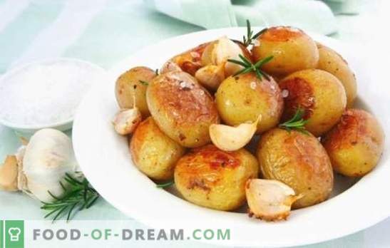 Potatis med vitlök är tillfredsställande och hälsosam. Matlagningsmöjligheter för allas favoritpotatis med vitlök