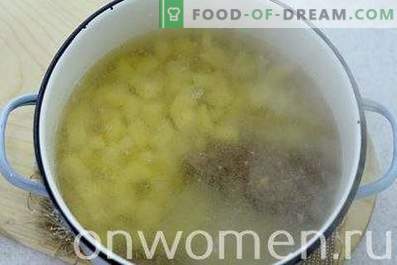 Soppa med dumplings